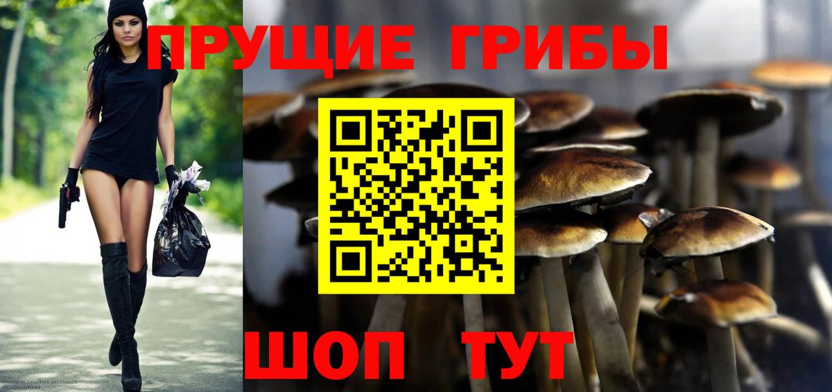 Псилоцибиновые грибы MAGIC MUSHROOMS  Псилоцибиновые грибы мухоморы  Вход с VPN  Котовск 